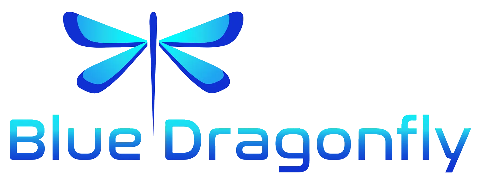 Blue Dragonfly